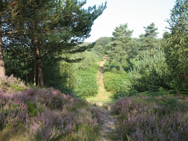 2007 08 Bois de Rochefort 12